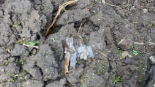 Ադրբեջանի զինված ուժերի կողմից հրադադարի ռեժիմը կոպտորեն խախտելու, Տավուշի մարզի մի շարք բնակավայրերի, հայկական մարտական հենակետերի ուղղությամբ տարբեր տրամաչափի զինատեսակներով կրակոցներ արձակելու փաստերով հարուցվել է ևս 7 քրեական գործ (լուսանկարներ)