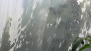 7 more Criminal Cases Initiated on Gross Violations of Ceasefire, Firing Shots towards a Number of Settlements of Tavush Province, Armenian Military Bases with Weapons of Several Calibers by Armed Forces of Azerbaijan