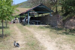 7 more Criminal Cases Initiated on Gross Violations of Ceasefire, Firing Shots towards a Number of Settlements of Tavush Province, Armenian Military Bases with Weapons of Several Calibers by Armed Forces of Azerbaijan