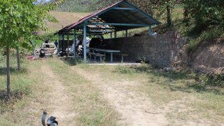 Ադրբեջանի զինված ուժերի կողմից հրադադարի ռեժիմը կոպտորեն խախտելու, Տավուշի մարզի մի շարք բնակավայրերի, հայկական մարտական հենակետերի ուղղությամբ տարբեր տրամաչափի զինատեսակներով կրակոցներ արձակելու փաստերով հարուցվել է ևս 7 քրեական գործ (լուսանկարներ)