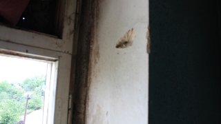 По факту грубого нарушении ВС Азербайджана режима прекращения огня, обстрелов из вооружения различного калибра мирного населения ряда населенных пунктов Тавушской области, армянских боевых опорных пунктов в СК РА возбуждено еще 7 уголовных дел(фотографии)