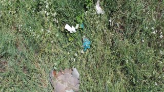 7 more Criminal Cases Initiated on Gross Violations of Ceasefire, Firing Shots towards a Number of Settlements of Tavush Province, Armenian Military Bases with Weapons of Several Calibers by Armed Forces of Azerbaijan