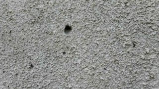 40 Year-Old Resident of Berd Town Arrested within Criminal Case at Administrative Building of Tavush Division of Tavush Regional Department of RA Police (photos)