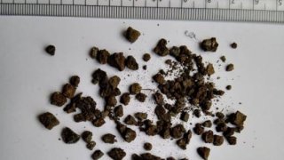 40 Year-Old Resident of Berd Town Arrested within Criminal Case at Administrative Building of Tavush Division of Tavush Regional Department of RA Police (photos)