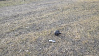 По фактам развязывания и ведения с 28 сентября 2020г. военно-политическим руководством Азербайджана агрессивной войны против Республики Армения, совершения серьёзных нарушений норм международного гуманитарного права, в СК РА были возбуждены уголовные дела