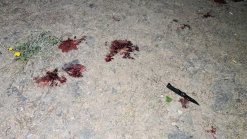 Murder in Geghashen Village (video, photos)