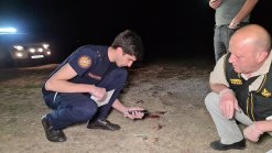 Murder in Geghashen Village (video, photos)