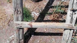 Banditry against Old Woman Disclosed (photos)