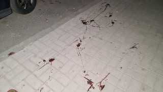 Կրակոցներ՝ Ամիրյան փողոցում. հարուցվել է քրեական գործ (տեսանյութ, լուսանկարներ)