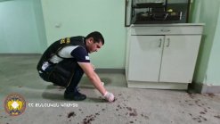 Murder in Ejmiatsin; Person Having Committed Alleged Crime Arrested (video, photos)