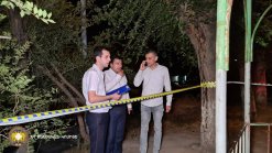 Shot in Yerevan; Criminal Case Initiated (video, photos)