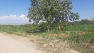 Resident of Norashen Arrested on Suspicion of Committing Murder Attempt against Fellow-Villager (photos)