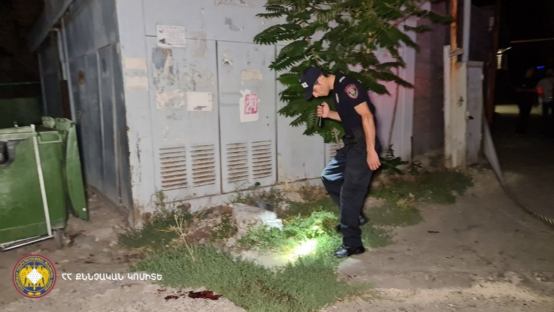 Stabbing in Malatia-Sebastia administrative district (photos)