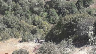 Բեռնատարը կողաշրջվել և ընկել է ձորը. վարորդը մահացել է (լուսանկարներ)