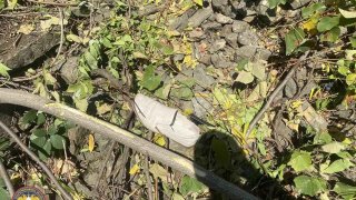 Մահվան ելքով ավտովթար՝ Երևան-Մեղրի ավտոճանապարհին (լուսանկարներ)