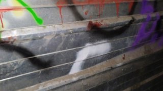 Попытка убийства в Ереване: возбуждено уголовное дело (ВИДЕО, ФОТО)