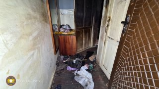 36 year-old Woman Arrested on Suspicion of Murdering her Grandmother (photos)