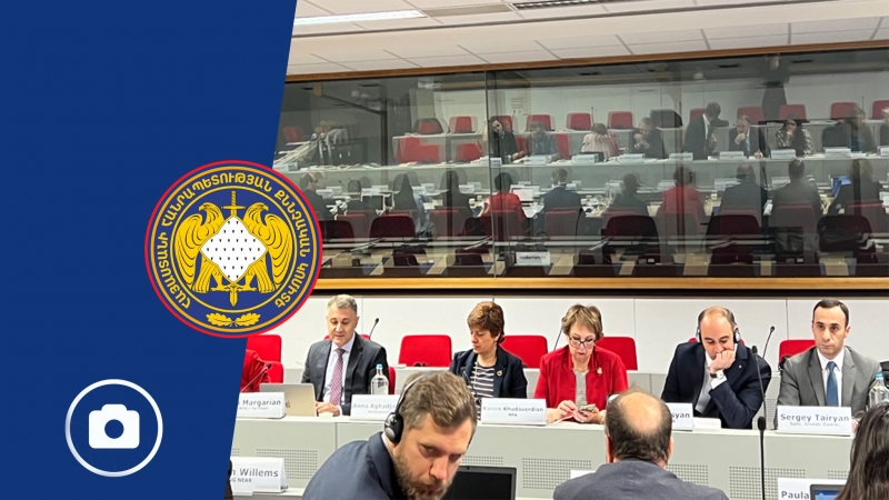 Representatives of RA Investigative Committee Took Part in 12th Sessions of RA-EU Human Rights Dialogue and  Armenia-EU Subcommittee on Justice, Freedom and Security (photos)