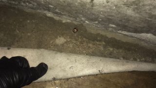 Զենքի գործադրմամբ խուլիգանություն սննդի օբյեկտում. հարուցվել է քրեական գործ (լուսանկարներ)