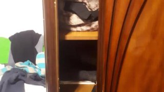 Раскрыт очередной случай квартирной кражи (Фото)