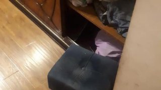 Բացահայտվել է բնակարանային գողության հերթական դեպքը (լուսանկարներ)   