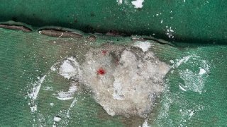 Житель Норатуса арестован по обвинению в умышленном причинении тяжкого вреда здоровью двух молодых людей в ночном клубе (фото)