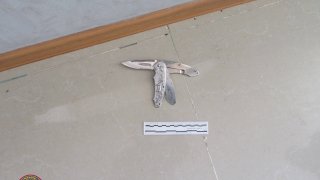 Выявлен ряд обстоятельств вооруженного инцидента в городе Раздан: тремя лицам предъявлено обвинение (видео, фото)