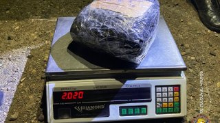 Раскрыт случай незаконного оборота наркотиков, контрабанды наркотиков (фото)