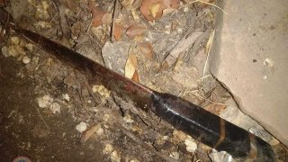 Нанесение ножевого ранения на улице Молдовакан города Ереван: задержан 72-летний мужчина (видео, фото)