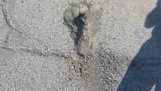 Information (photos)