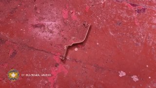 Man Arrested on Suspicion of 41 year-old Woman’s Murder (video, photos)