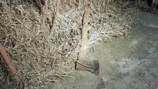 45 year-old Man who had allegedly Committed Theft, Threatened Patrol with Axe Died of Shot Fired towards him with Service Weapon; Criminal Proceedings Initiated (photos)