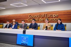 The Chairman of the RA Investigative Committee Argishti Kyaramyan, as Part of the RA Delegation, Met the Secretary General of the Council of Europe Maria Peychinovich Burich (photos)