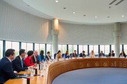 Meeting in Strasburg with the President of the European Court of Human Rights Siofra O'Leary (photos)