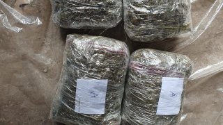 Case of Smuggling Drugs of Several Types in Particularly Large Amount from Iran to Armenia Disclosed; Motion on three Persons’ Detention Submitted (photos)