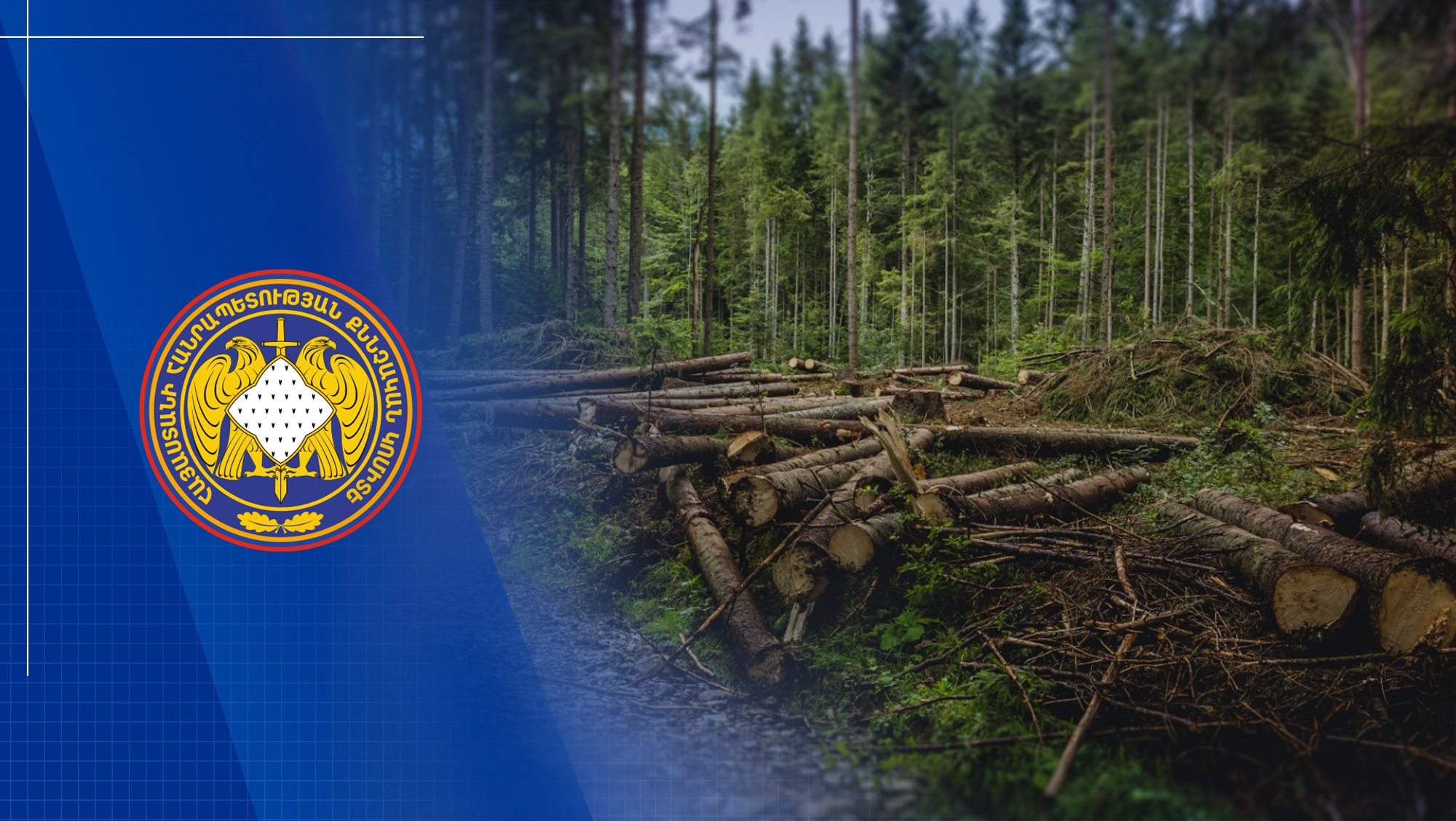 327 Trees Destroyed by Company․ Damage Caused to State and Community Completely Recovered