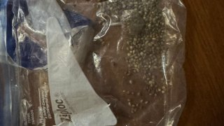 Обнаружено незаконное оружие и боеприпасы: около 30 лиц были задержаны