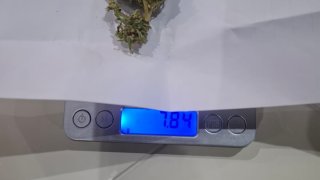 В ходе обысков в Араратском марзе было обнаружено незаконное оружие и боеприпасы