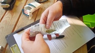 В ходе обысков в Араратском марзе было обнаружено незаконное оружие и боеприпасы