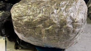 Завершено предварительное следствие по делу о контрабанде и незаконном обороте около 11 кг наркотиков в отношении двух лиц (фото)